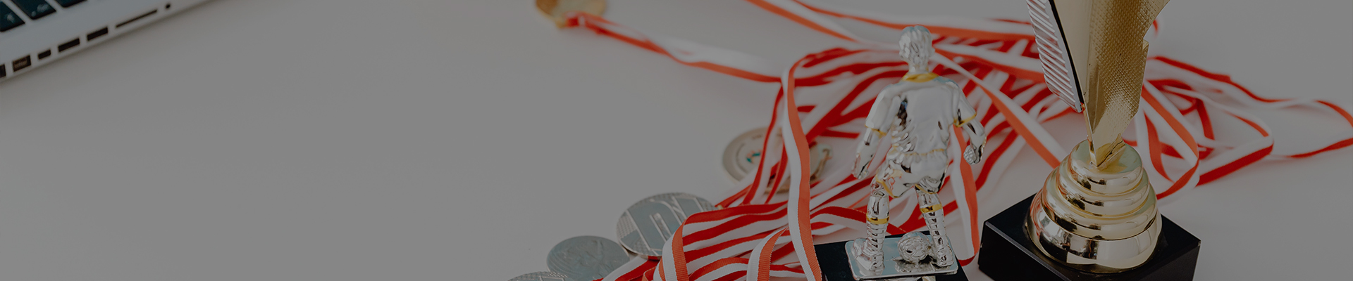 пользовательские медали